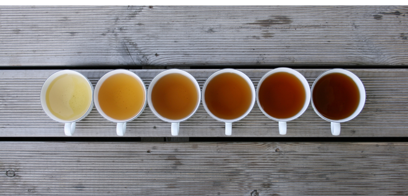 Tea Cellar – Vankleek Hill Vineyard
