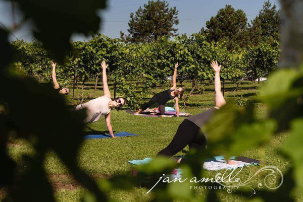 YOGA in the VINES